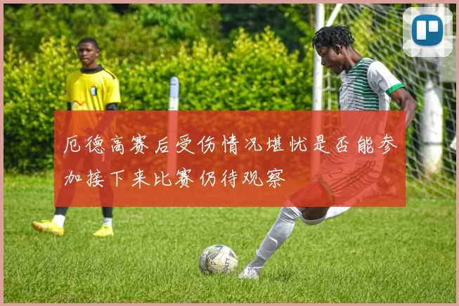 厄德高赛后受伤情况堪忧是否能参加接下来比赛仍待观察
