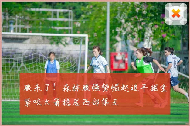 狼来了！森林狼强势崛起追平掘金紧咬火箭稳居西部第五