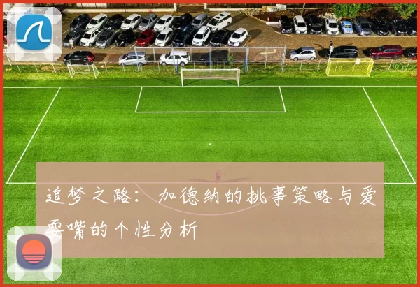 追梦之路：加德纳的挑事策略与爱耍嘴的个性分析
